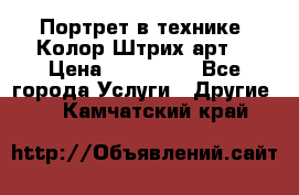 Портрет в технике “Колор-Штрих-арт“ › Цена ­ 250-350 - Все города Услуги » Другие   . Камчатский край